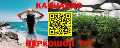 Альфа ПВП Ярославль